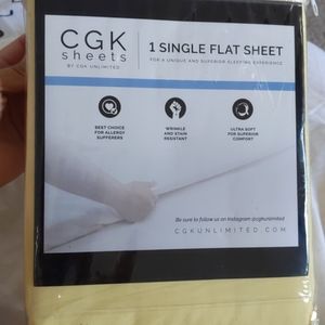 Queen size flat sheet *NEW & STILL SEALED*